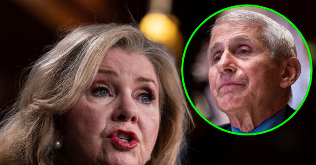 Marsha Blackburn: ‘There Is a New Pandemic’ Called ‘Fauci Fatigue’