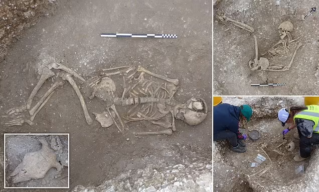 Welcome to Duropolis! Five 2,000-year-old humans buried in a crouched position along with sacrificed animals 'for the afterlife' are found at Iron Age site in Dorset