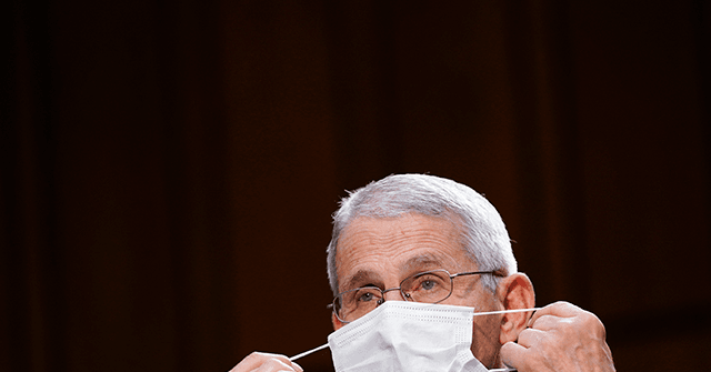 Fauci: ‘You Should Wear a Mask in a Congregate Indoor Setting’