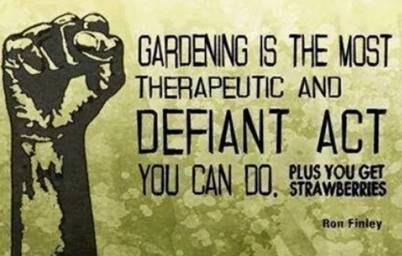 Stop gardening NOW! It's dangerous!