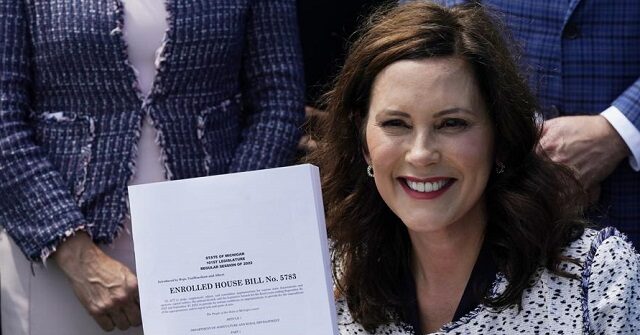Michigan Gov. Whitmer Deletes Pro-Life Programs from State Budget