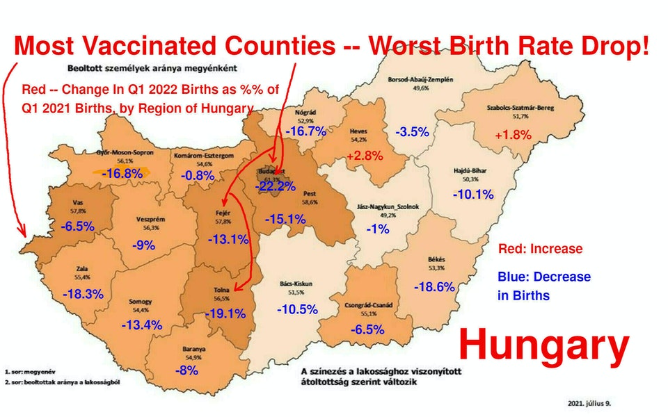 Hungary: Highest Vaccinated Counties Have Worst Birth Rate Drops!