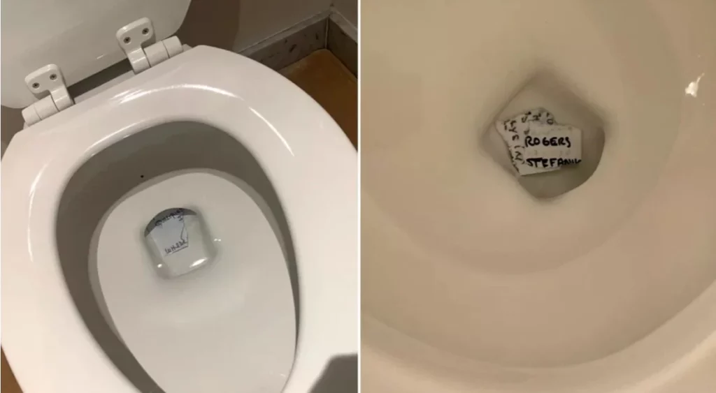 Desperate Left-Wing Media Outlet Posts Pictures of ‘Trump’s Toilet’ to Prove President Was Flushing Oval Office Documents