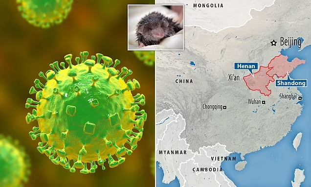 Deja-flu: China sounds alarm as 35 people fall ill with 'newly identified' Langya virus that is thought to have jumped from shrews