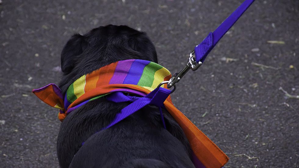 ‘Decriminalize Sex With Animals’: Zoophilia Pride Marchers Demand LGBTQI+ Movement Add a Z