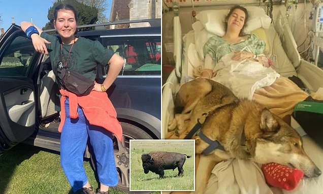 British gap year student, 19, who was paralyzed by 2,000lb bison on trip to South Dakota may be left stranded in the US