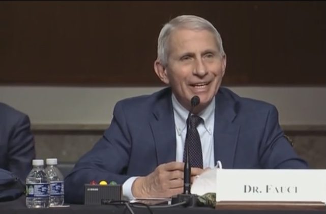 Here’s How Much Anthony Fauci Bankrolled During COVID-19