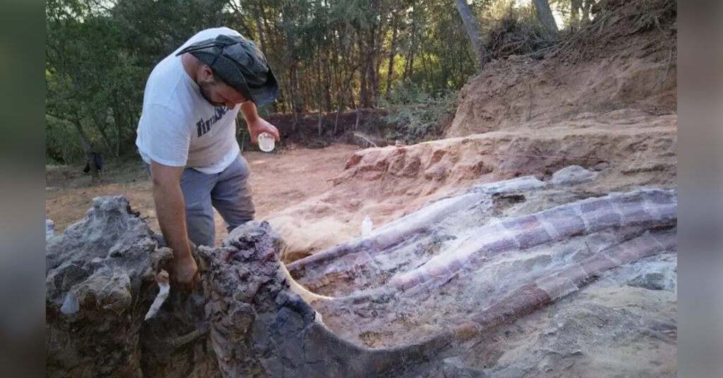 Paleontologists Unearth Fossil of Largest Dinosaur Ever Found in Europe From Man’s Back Garden in Portugal