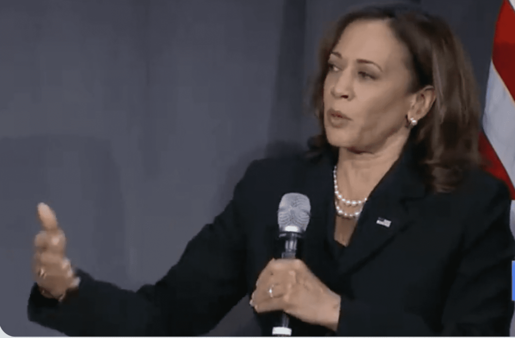 Kamala Harris: Hurricane Relief Will Go Out Based On Race!