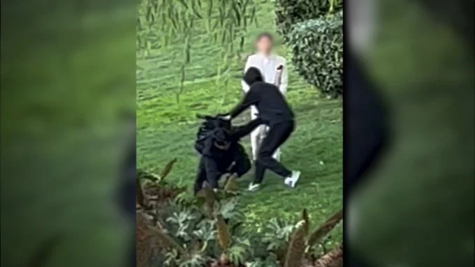 “The Bride Was Crying the Whole Time” – Armed Robbers Target Photographers at Palace of Fine Arts in San Francisco (VIDEO)