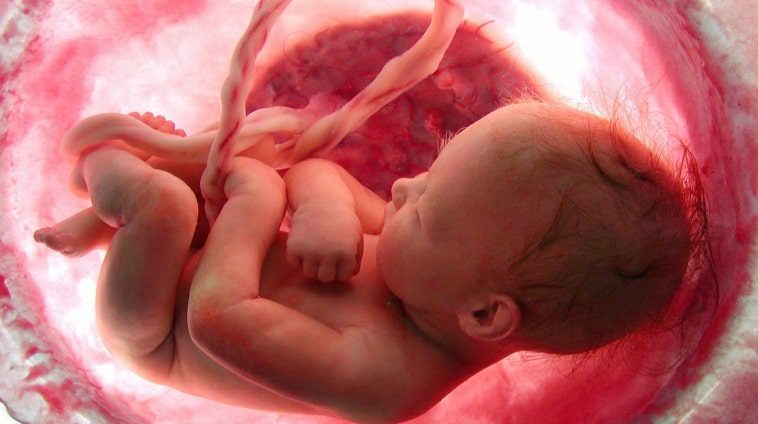 Study: 10,000 Babies Were Saved In The First Two Months Post-Roe