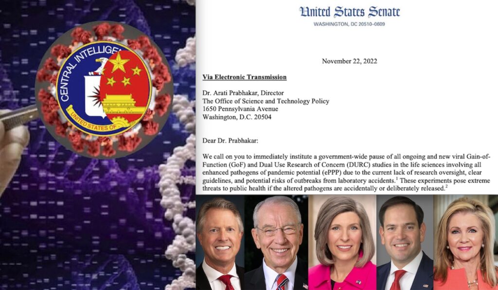“Dangerous SARS-2 & Omicron Lab Experiments without Risk Assessment. STOP Them!”. Disturbing Warning by 5 US Senators