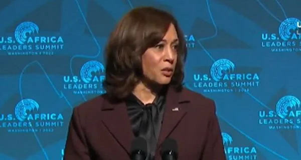 Latest word salad from Kamala Harris leaves people scratching their heads