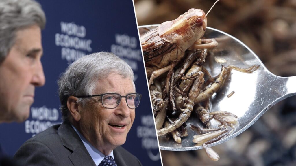 HYPOCRITES! Globalist Elite In Davos Are Telling You To Eat Crickets...But Here’s What Was On The Davos WEF Menu (Hint: It’s NOT Insects)
