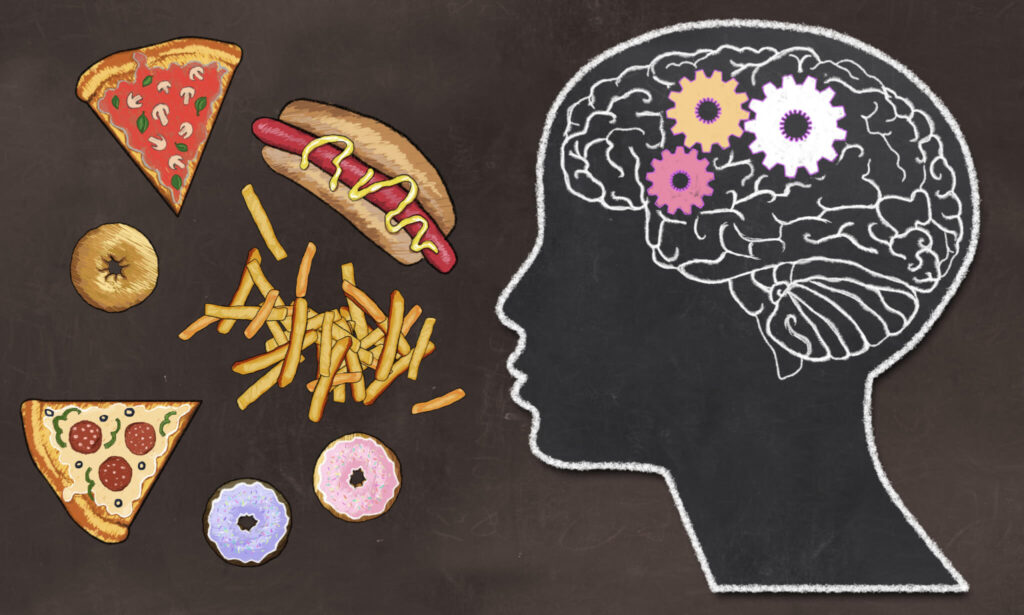 Junk food’s evil ways: High-fat diet hijacks the brain’s ability to regulate appetite