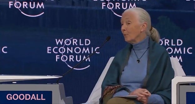 MUST WATCH: Unearthed Video Shows Animal Rights Activist Jane Goodall Calling for DEPOPULATING THE EARTH to Solve “Climate Change” (VIDEO)