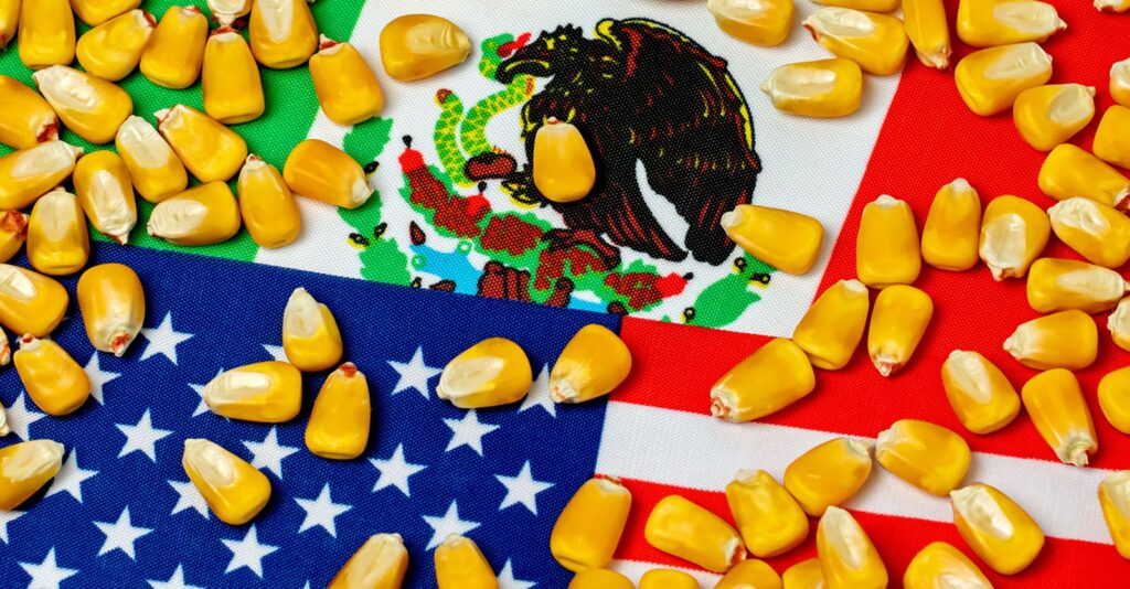 Biden Administration Attempts to Sabotage Mexico’s GMO Corn Ban to ‘Protect Short-Term Profits of U.S. Ag Giants’