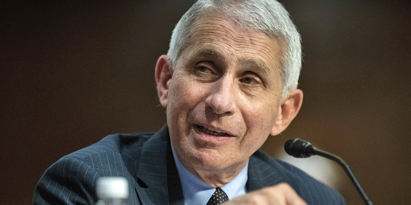 OOPS: Study Co-Authored By Fauci Gives BAD News For Vax Backers