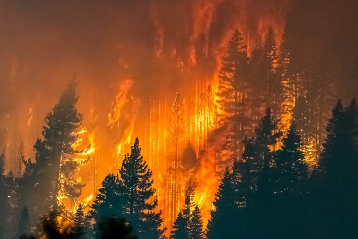 Prescribed Burning and Thinning of Western Forests Could End Future Megafires