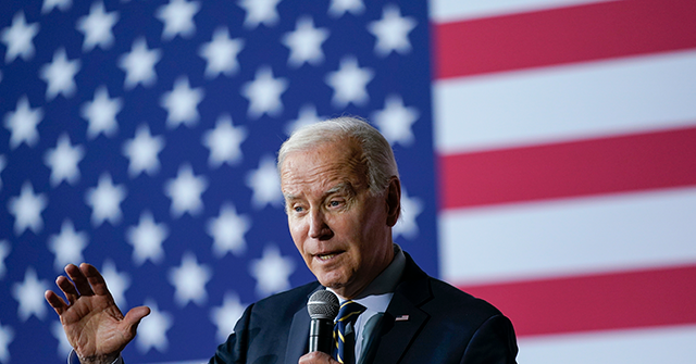Poll: 32% of Biden Voters Back Another Democrat or Undecided in Primary
