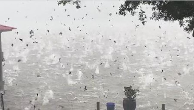 'UNREAL'! Videos show impact as baseball-sized hailstorm hit Hot Springs, Arkansas