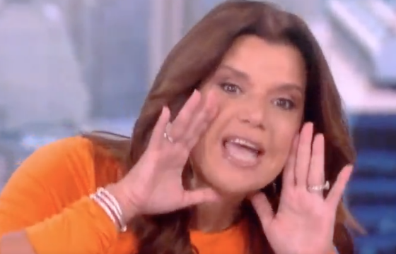 WATCH: ‘The View’ Host Says She Screams ‘We Say Gay’ Out Of Her Car Window ‘Like A Dog’ While In Florida