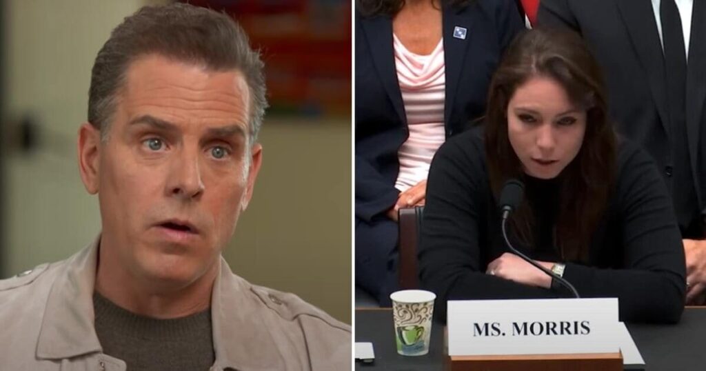 Journalist who broke Hunter Biden laptop story drops truth bombs on House floor, ends with ominous warning