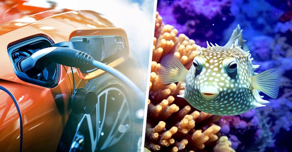Deep-sea Mining for EV Metals Can Slash Ocean Animal Populations by 50%, Study Says