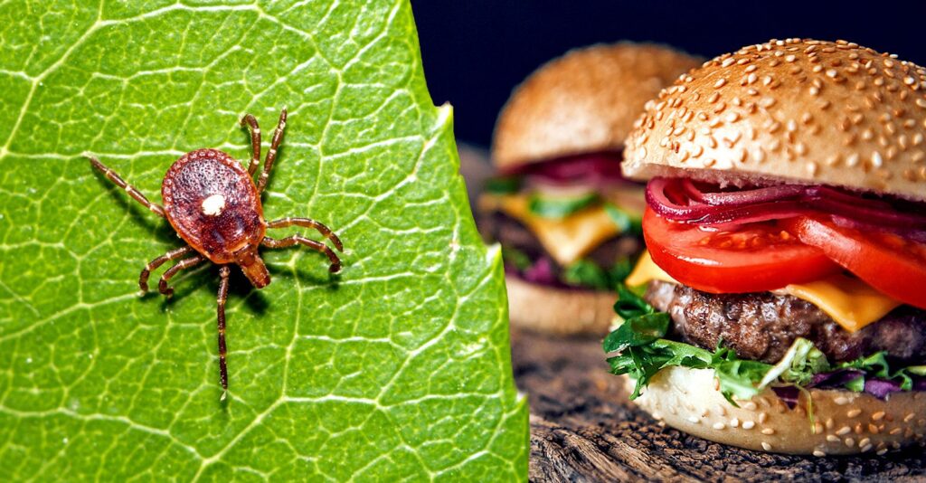 Meat Allergies Caused by Tick Bites: Should You Be Worried?