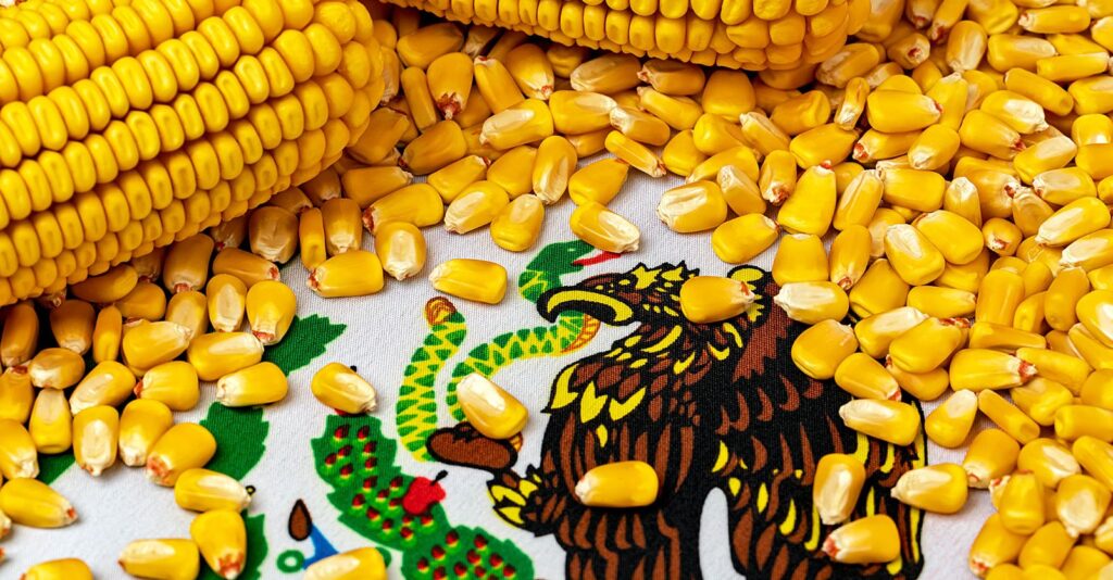 U.S. Ramps Up Battle to Force GMO Corn on Mexico