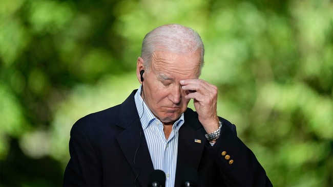 Democratic Senators to Joe Biden: Dude, Stop Screwing Up Out There