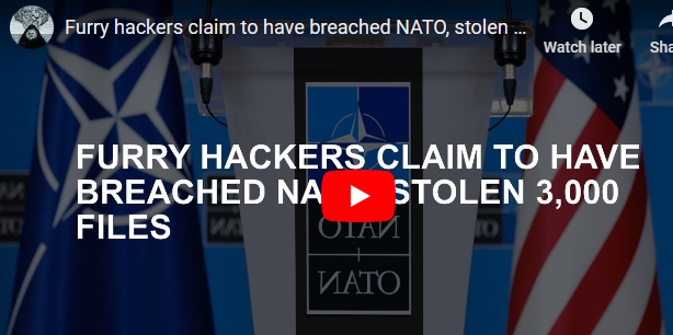 Furry hackers claim to have breached NATO, stolen 3,000 files