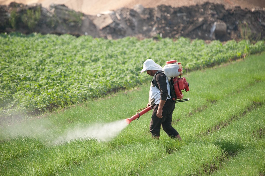 EPA Ban On Insecticide Linked To Nervous System Damage Removed By Federal Appeals Court