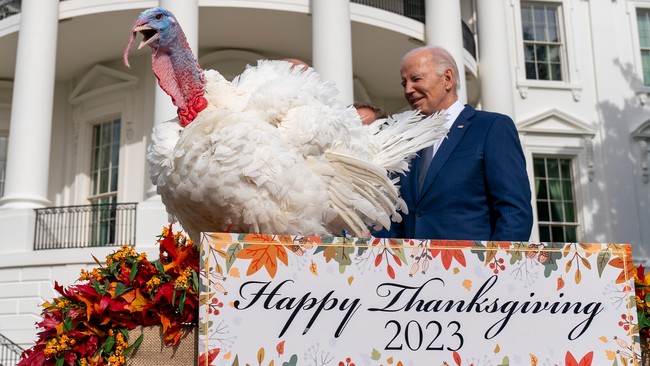 Biden White House Claims 'Key Prices Are Down' in Time for Thanksgiving