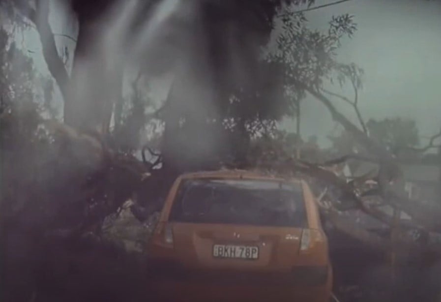 Video: Terrifying moment lightning strike explodes tree beside a car almost killing driver in Mudgee, Australia