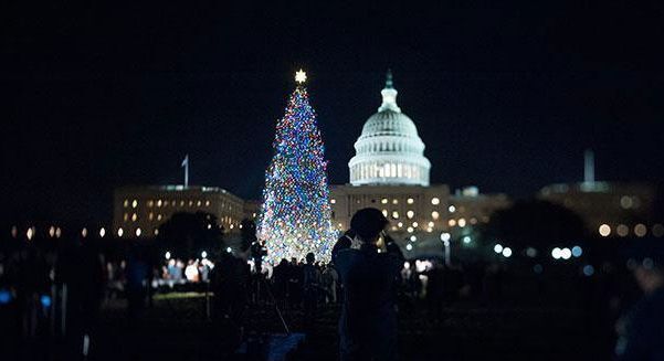 Congress’ ‘Gift’ To America This Christmas