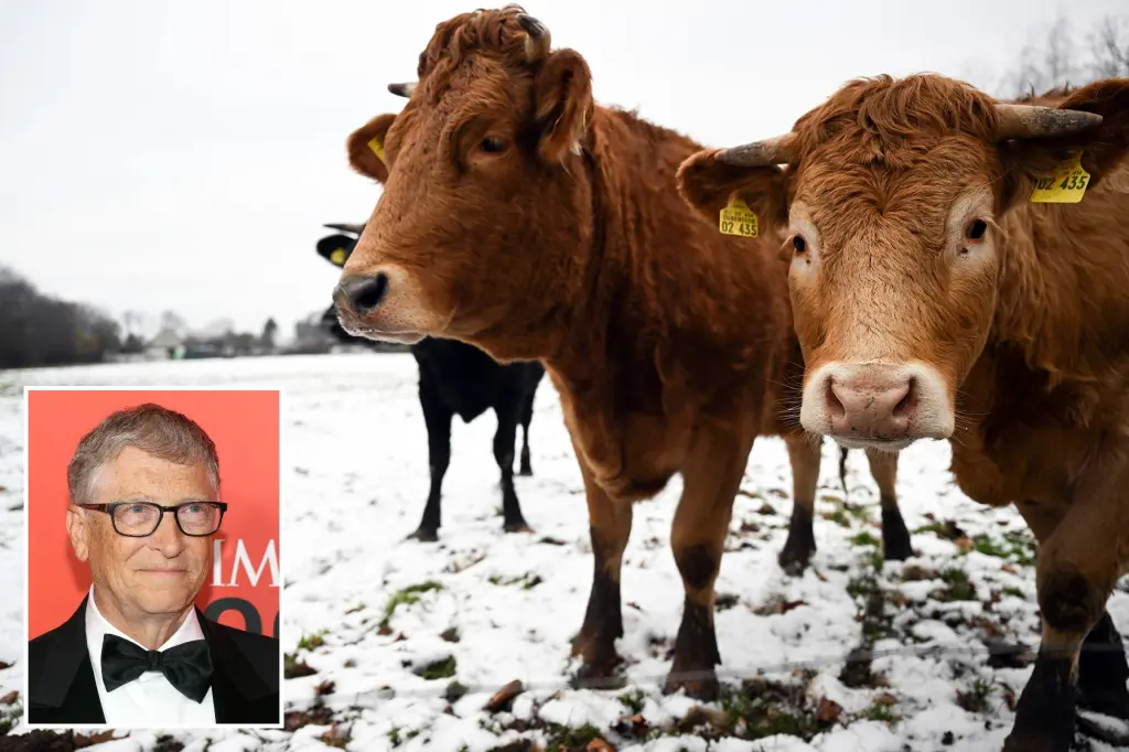 Bill Gates aims to fight climate change by stopping cows from burping