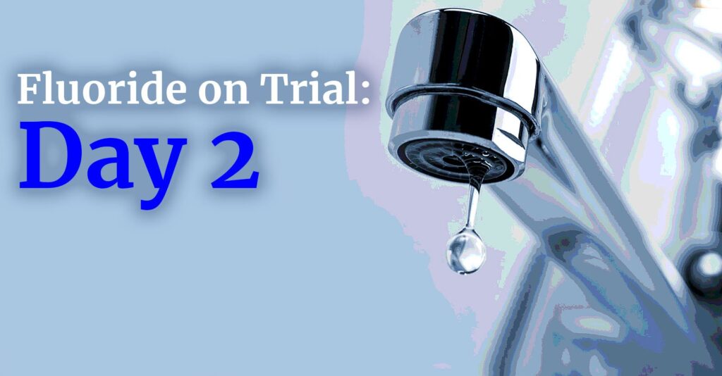 Fluoride on Trial, Day 2: Fluoride Poses Risks to Pregnant Women, Too