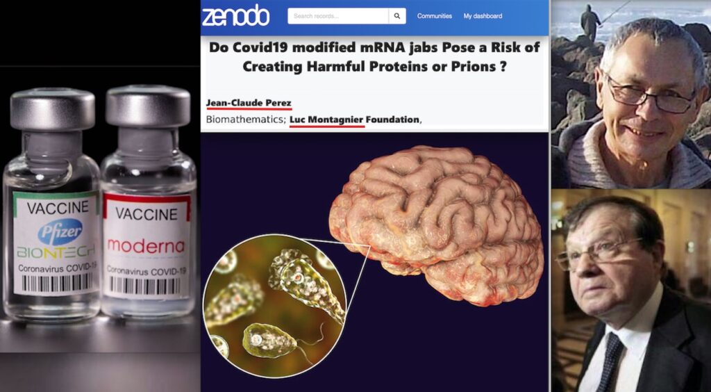 Diabolical Molecule inside mRNA Vaccines generates Harmful Proteins as Killer Prions, “Brain-Eating Amoeba”