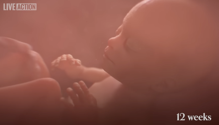 AP Writes Hit Piece On Implementing Fetal Development Video In Sex Ed Classes