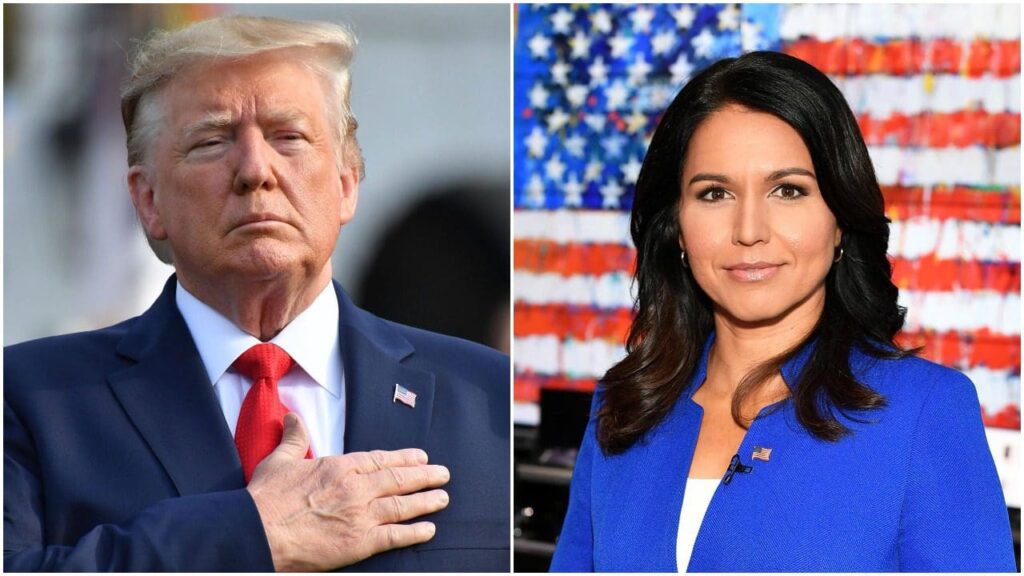Tulsi Gabbard Emerges as a Front Runner for Donald Trump’s Vice Presidential Pick in 2024