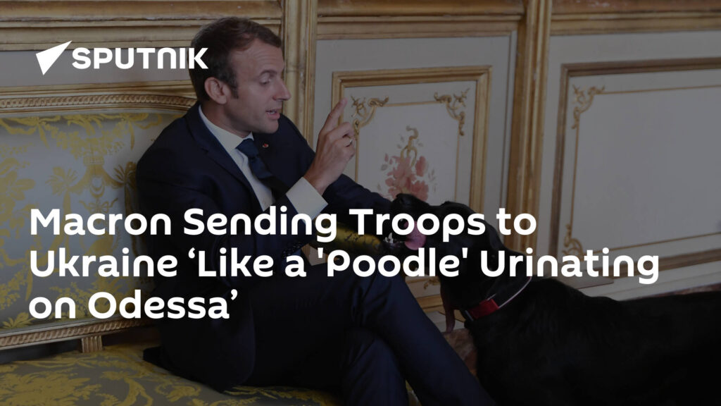 Macron Sending Troops to Ukraine ‘Like a 'Poodle' Urinating on Odessa’