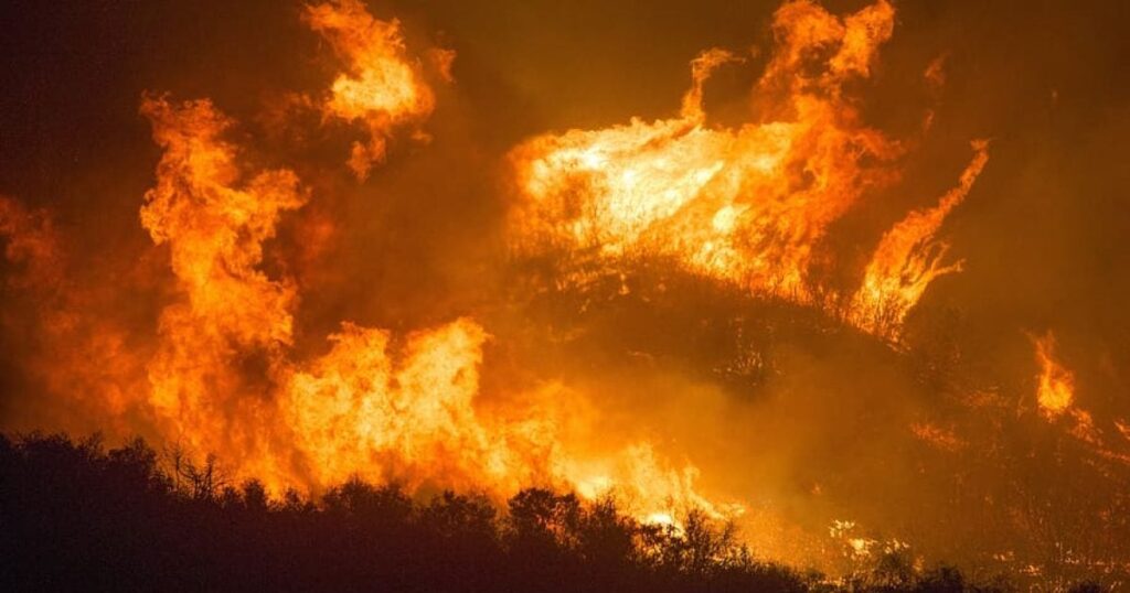Wildfire Destroys 1 Million Acres, Killing Thousands of Livestock In Texas