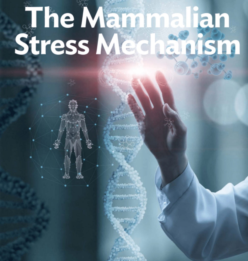 BREAKING: Medical Treatments Enabled by Stress Theory