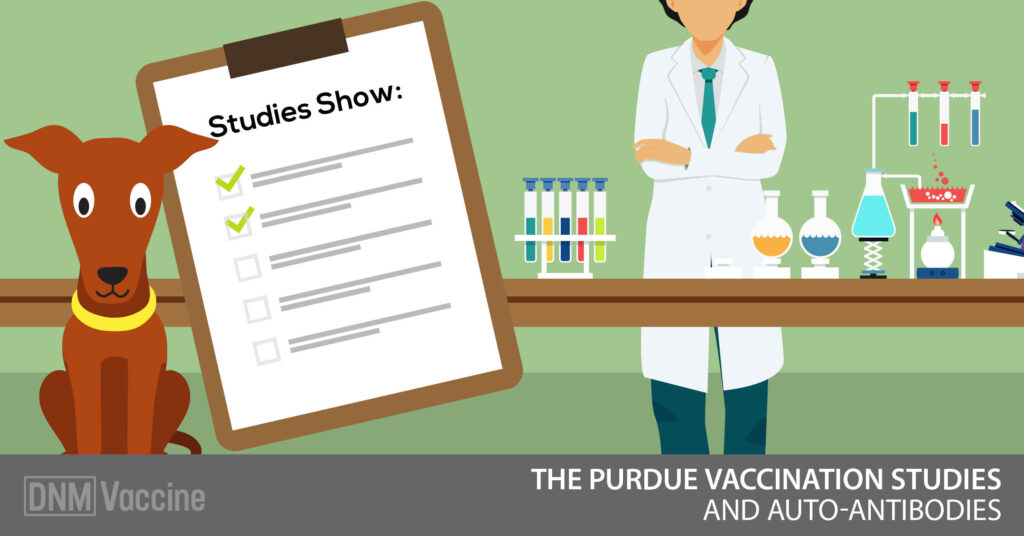 The Purdue Vaccination Studies And Auto-Antibodies