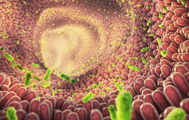 The Microbiome: How The Shots & Antibiotics Are Destroying It By Design (Video)
