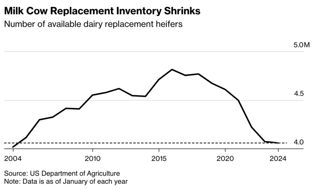 America’s Dairy Cattle Supply Continues To Slide To Two-Decade Low, As Farmers Breed Hybrids To Make Beefier Cows