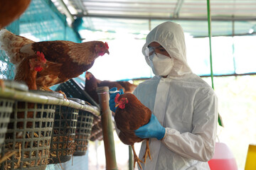 Media Starts Blaming Humans For Bird Flu Transmission