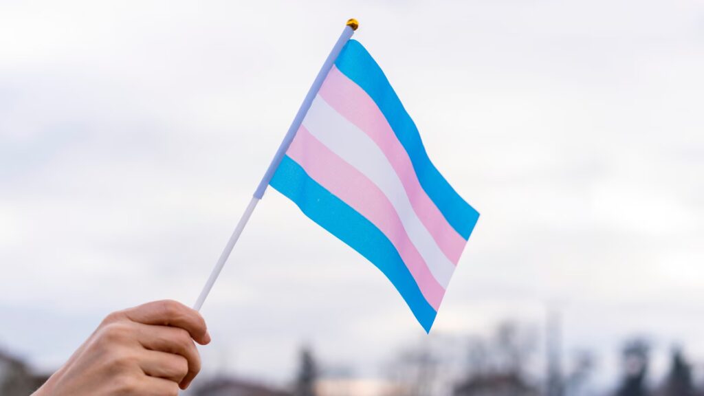 Judge blocks Florida's transgender youth care ban for minors