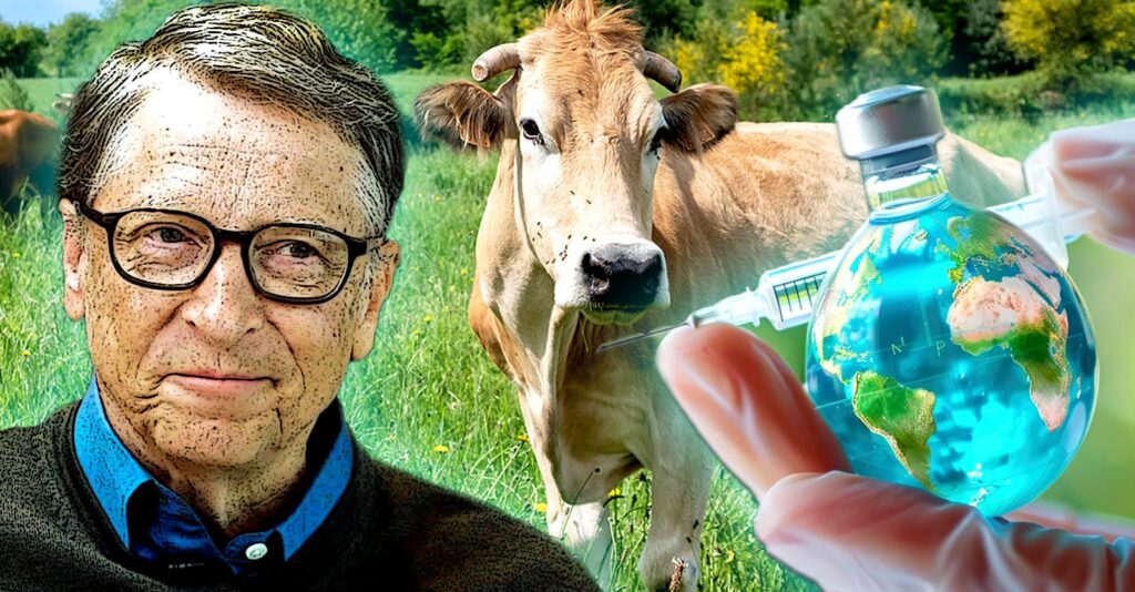 Bill Gates Invests Millions in ‘Climate Vaccines’ to Reduce Methane Emissions From Cows